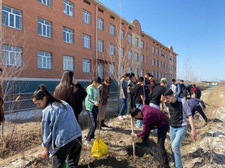 "Бұл менің ағашым"🌳🌳🌳